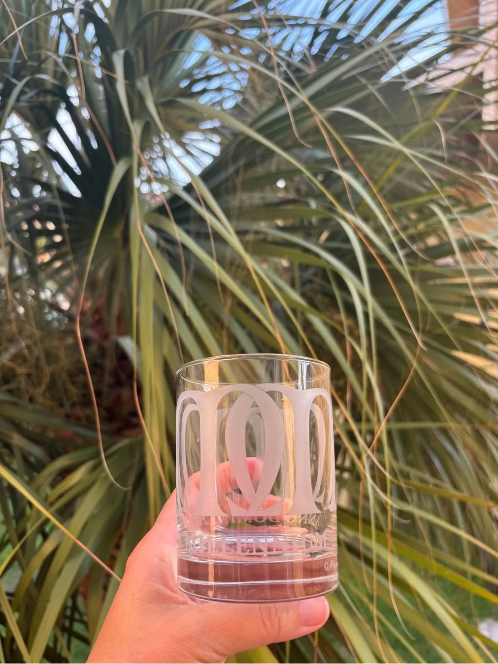 Mignon Faget NEW ORLEANS MILLENNIUM ETCHED DOF BAR GLASSES